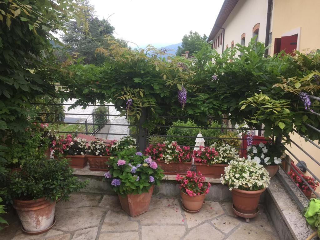 Maison d'hôtes La Casa Del Glicine Tarzo